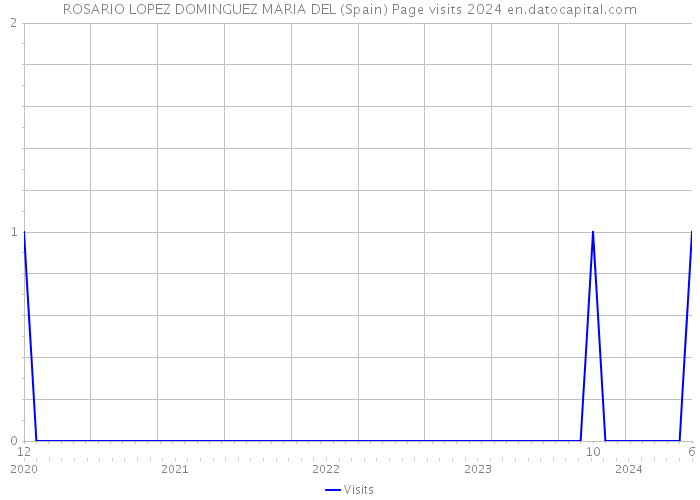 ROSARIO LOPEZ DOMINGUEZ MARIA DEL (Spain) Page visits 2024 