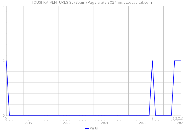 TOUSHKA VENTURES SL (Spain) Page visits 2024 