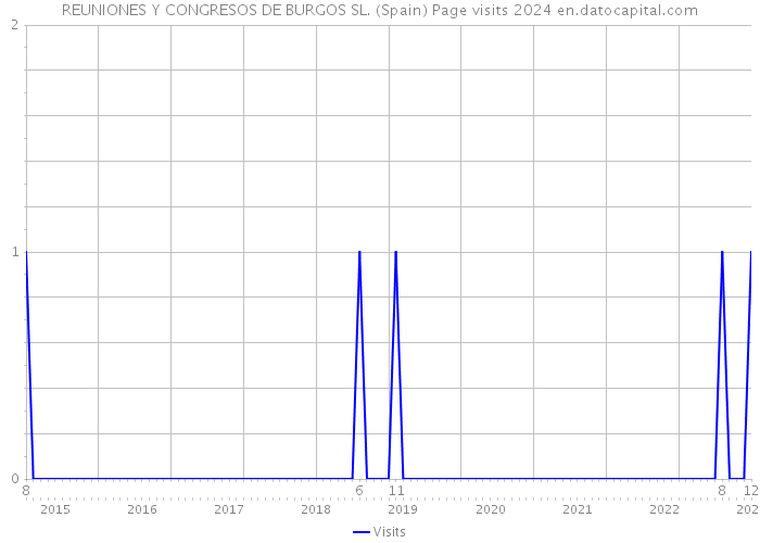 REUNIONES Y CONGRESOS DE BURGOS SL. (Spain) Page visits 2024 