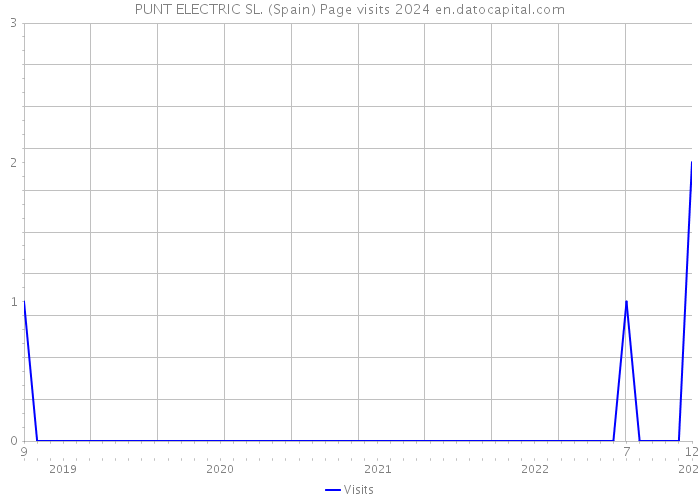 PUNT ELECTRIC SL. (Spain) Page visits 2024 