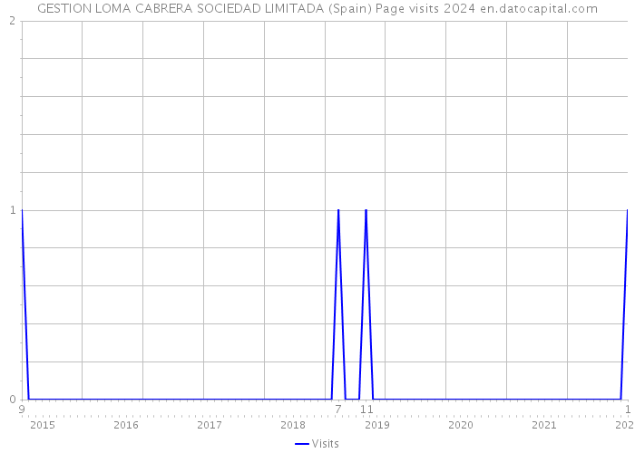 GESTION LOMA CABRERA SOCIEDAD LIMITADA (Spain) Page visits 2024 