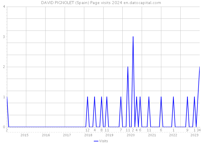 DAVID PIGNOLET (Spain) Page visits 2024 