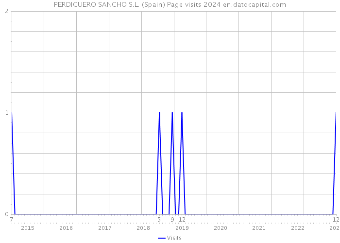 PERDIGUERO SANCHO S.L. (Spain) Page visits 2024 