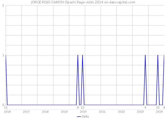 JORGE ROJO CAMON (Spain) Page visits 2024 