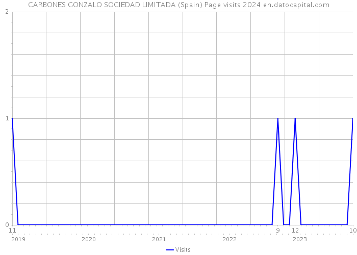 CARBONES GONZALO SOCIEDAD LIMITADA (Spain) Page visits 2024 