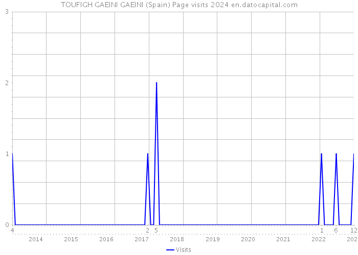 TOUFIGH GAEINI GAEINI (Spain) Page visits 2024 