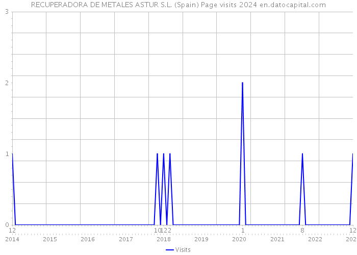 RECUPERADORA DE METALES ASTUR S.L. (Spain) Page visits 2024 