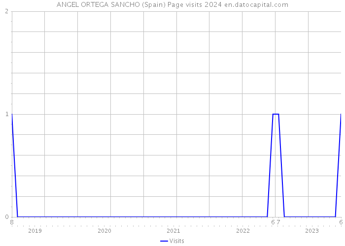 ANGEL ORTEGA SANCHO (Spain) Page visits 2024 