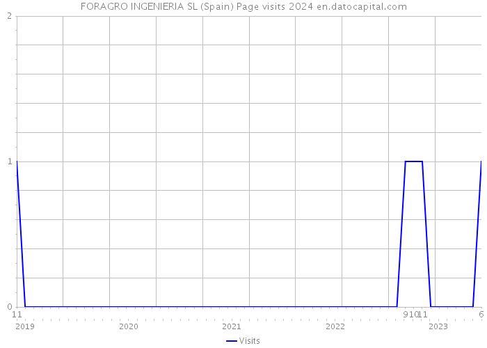 FORAGRO INGENIERIA SL (Spain) Page visits 2024 