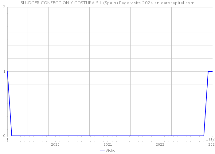 BLUDGER CONFECCION Y COSTURA S.L (Spain) Page visits 2024 