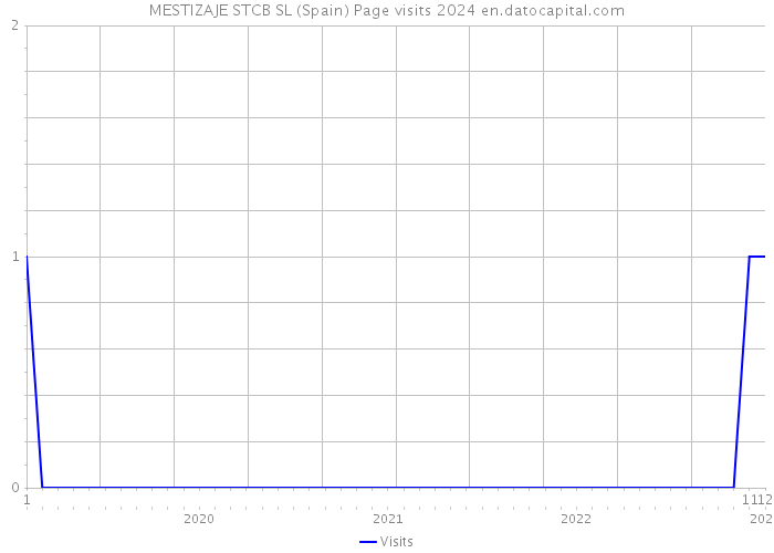 MESTIZAJE STCB SL (Spain) Page visits 2024 