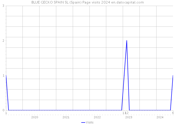 BLUE GECKO SPAIN SL (Spain) Page visits 2024 