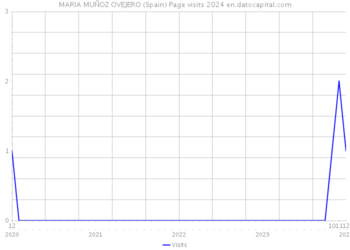 MARIA MUÑOZ OVEJERO (Spain) Page visits 2024 