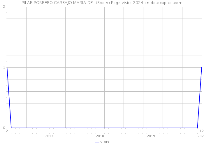 PILAR PORRERO CARBAJO MARIA DEL (Spain) Page visits 2024 