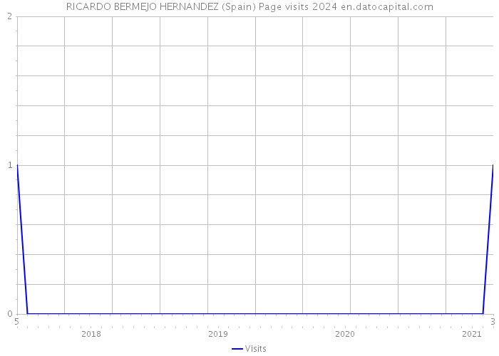 RICARDO BERMEJO HERNANDEZ (Spain) Page visits 2024 