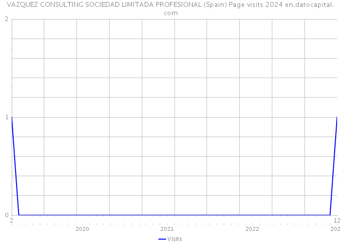 VAZQUEZ CONSULTING SOCIEDAD LIMITADA PROFESIONAL (Spain) Page visits 2024 