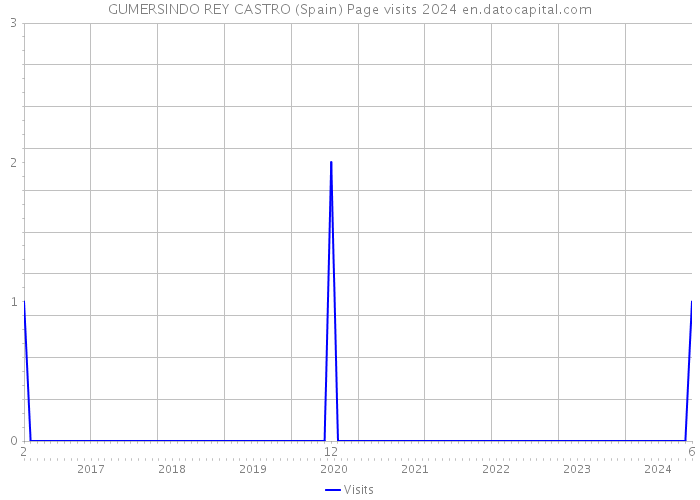 GUMERSINDO REY CASTRO (Spain) Page visits 2024 