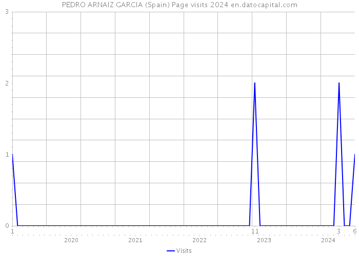 PEDRO ARNAIZ GARCIA (Spain) Page visits 2024 