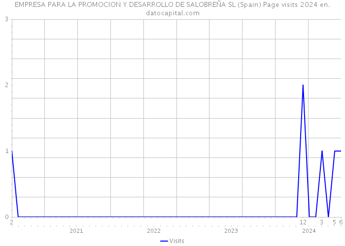 EMPRESA PARA LA PROMOCION Y DESARROLLO DE SALOBREÑA SL (Spain) Page visits 2024 