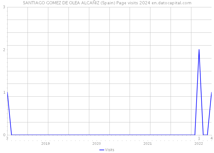 SANTIAGO GOMEZ DE OLEA ALCAÑIZ (Spain) Page visits 2024 