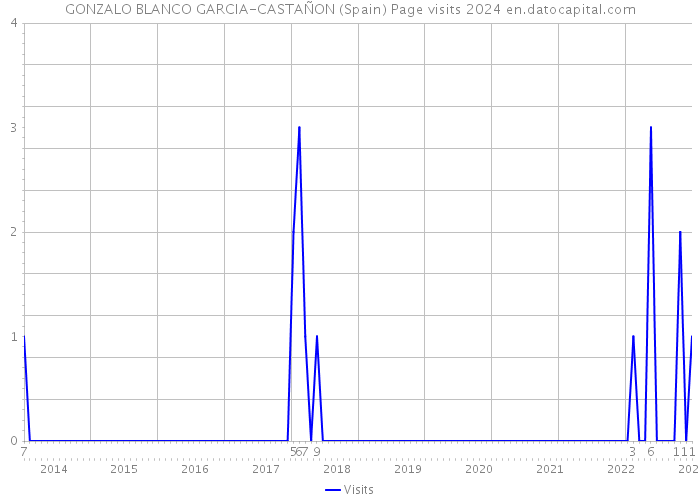 GONZALO BLANCO GARCIA-CASTAÑON (Spain) Page visits 2024 