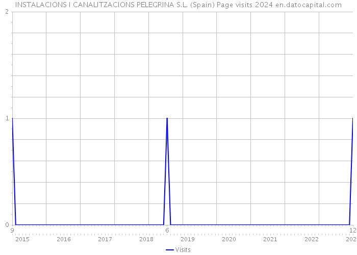 INSTALACIONS I CANALITZACIONS PELEGRINA S.L. (Spain) Page visits 2024 