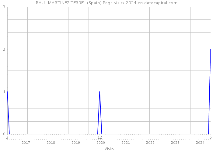 RAUL MARTINEZ TERREL (Spain) Page visits 2024 