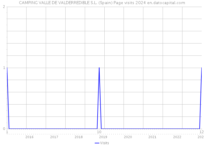 CAMPING VALLE DE VALDERREDIBLE S.L. (Spain) Page visits 2024 