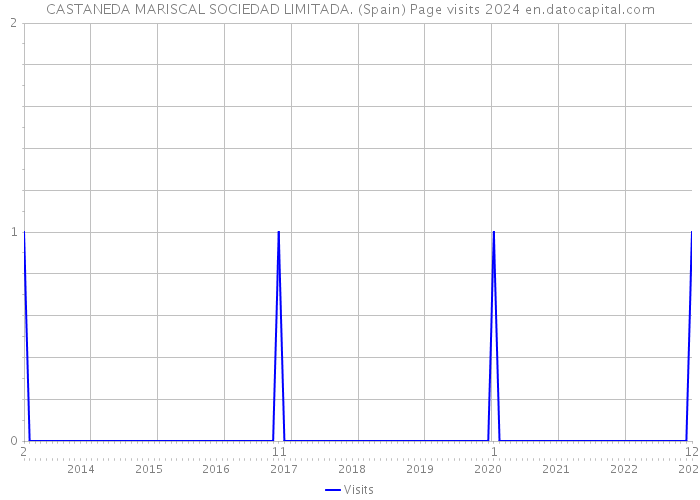 CASTANEDA MARISCAL SOCIEDAD LIMITADA. (Spain) Page visits 2024 