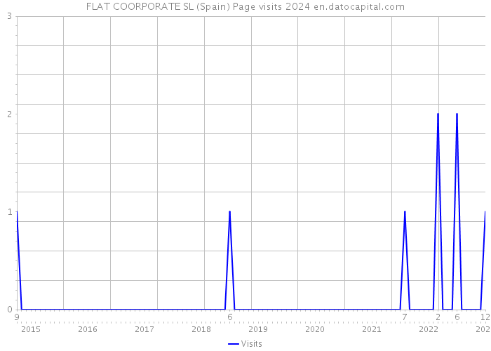 FLAT COORPORATE SL (Spain) Page visits 2024 