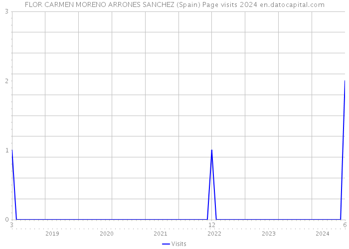 FLOR CARMEN MORENO ARRONES SANCHEZ (Spain) Page visits 2024 