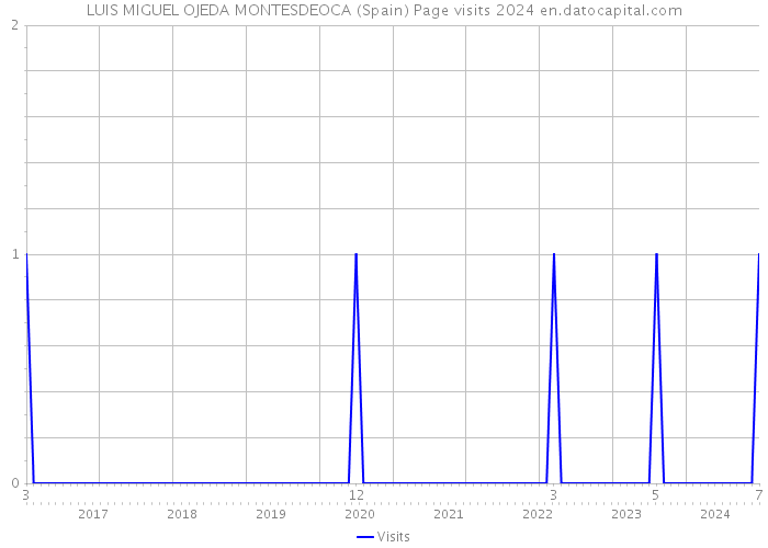 LUIS MIGUEL OJEDA MONTESDEOCA (Spain) Page visits 2024 
