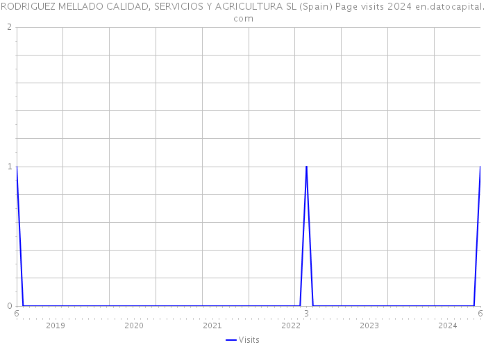 RODRIGUEZ MELLADO CALIDAD, SERVICIOS Y AGRICULTURA SL (Spain) Page visits 2024 