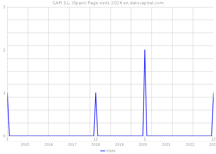 GAPI S.L. (Spain) Page visits 2024 