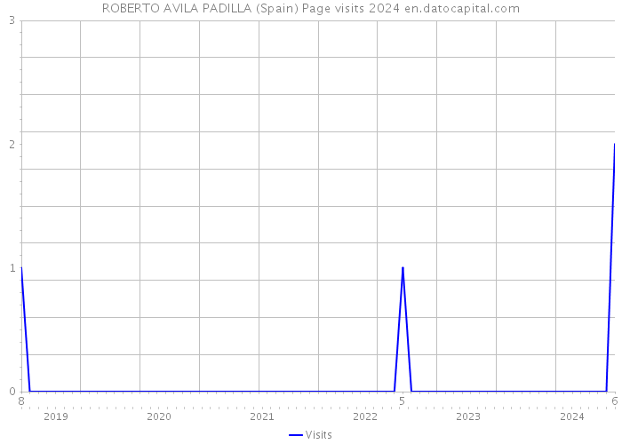 ROBERTO AVILA PADILLA (Spain) Page visits 2024 