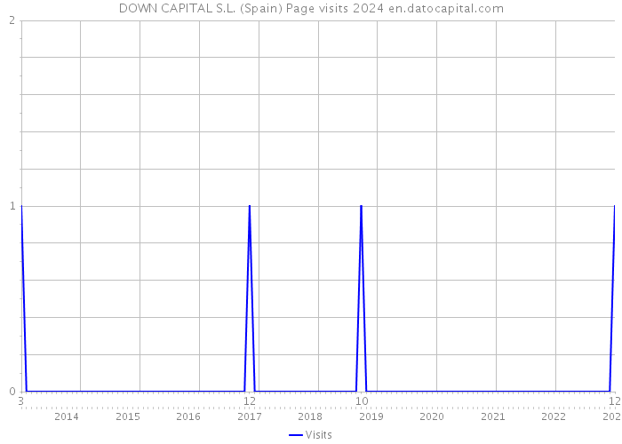 DOWN CAPITAL S.L. (Spain) Page visits 2024 