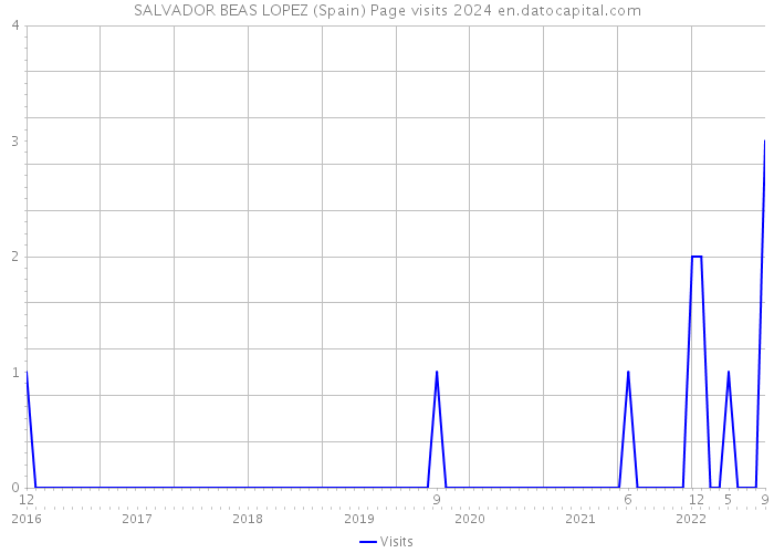 SALVADOR BEAS LOPEZ (Spain) Page visits 2024 