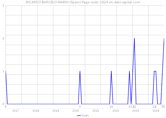RICARDO BARCELO MARIN (Spain) Page visits 2024 