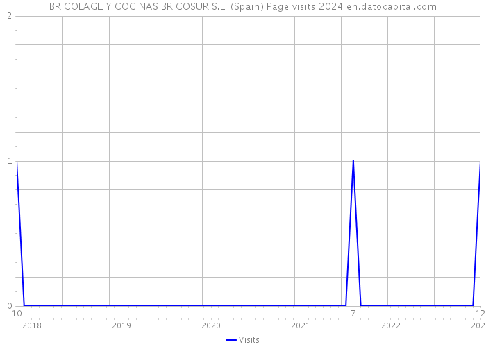 BRICOLAGE Y COCINAS BRICOSUR S.L. (Spain) Page visits 2024 