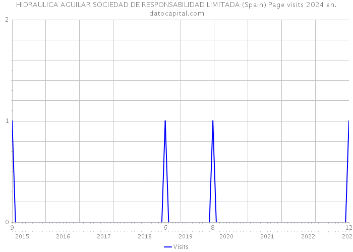 HIDRAULICA AGUILAR SOCIEDAD DE RESPONSABILIDAD LIMITADA (Spain) Page visits 2024 