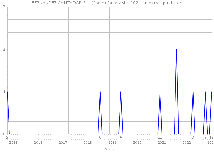 FERNANDEZ CANTADOR S.L. (Spain) Page visits 2024 