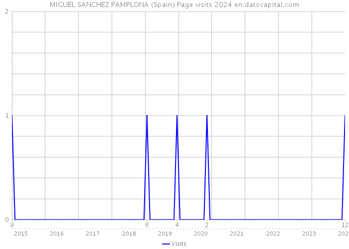 MIGUEL SANCHEZ PAMPLONA (Spain) Page visits 2024 