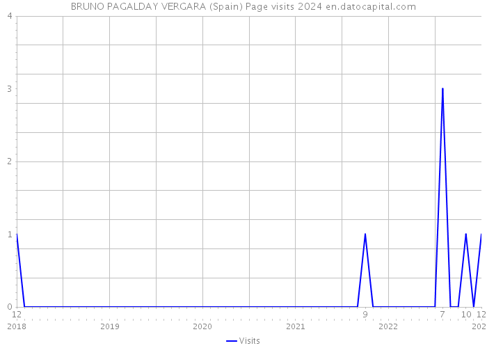 BRUNO PAGALDAY VERGARA (Spain) Page visits 2024 
