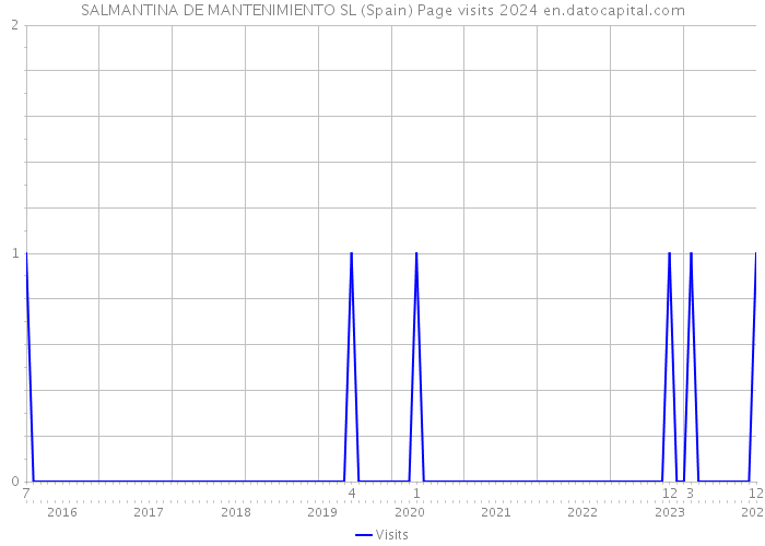 SALMANTINA DE MANTENIMIENTO SL (Spain) Page visits 2024 