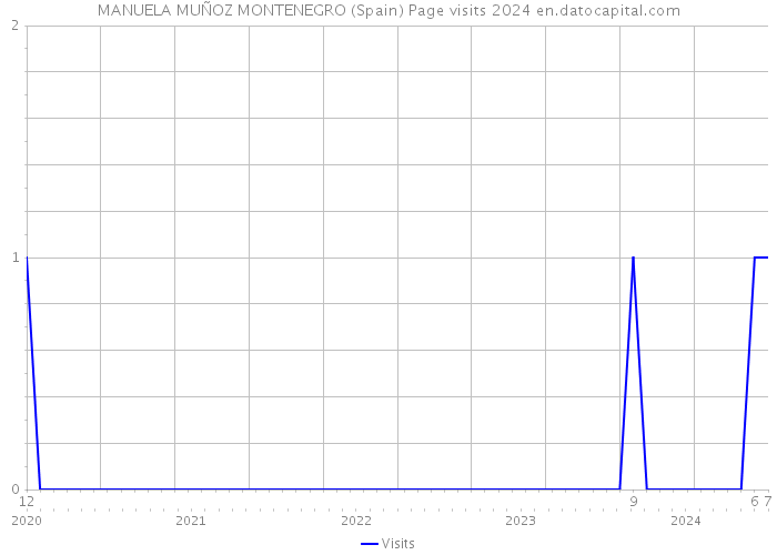 MANUELA MUÑOZ MONTENEGRO (Spain) Page visits 2024 