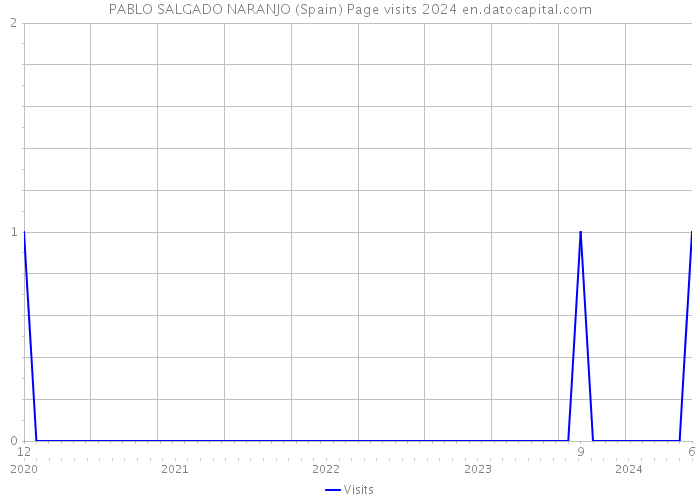 PABLO SALGADO NARANJO (Spain) Page visits 2024 