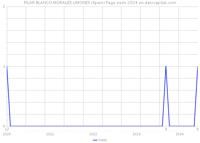 PILAR BLANCO MORALES LIMONES (Spain) Page visits 2024 