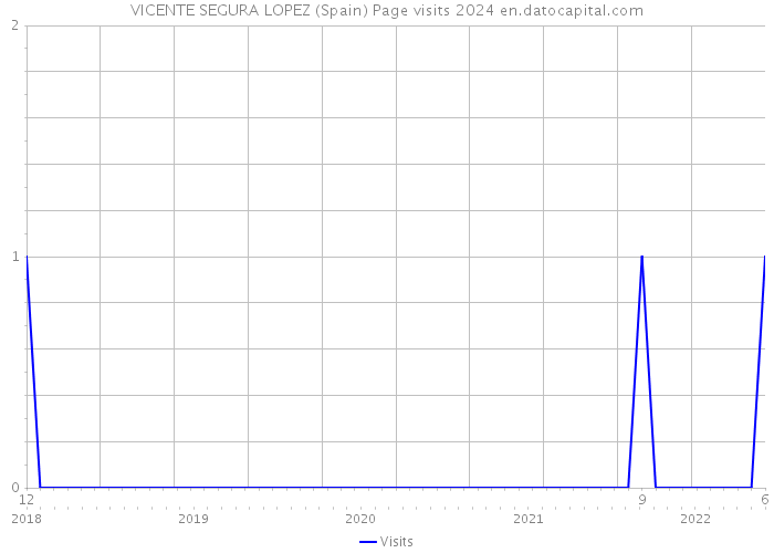VICENTE SEGURA LOPEZ (Spain) Page visits 2024 