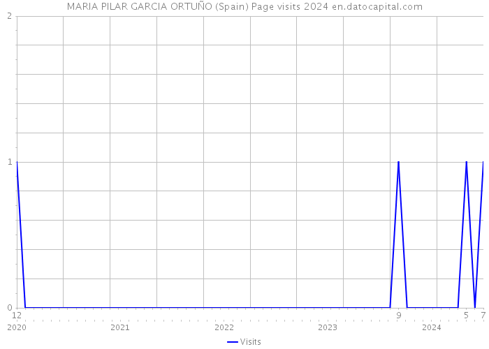 MARIA PILAR GARCIA ORTUÑO (Spain) Page visits 2024 