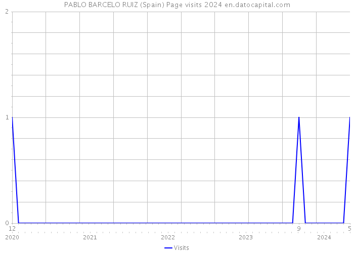 PABLO BARCELO RUIZ (Spain) Page visits 2024 